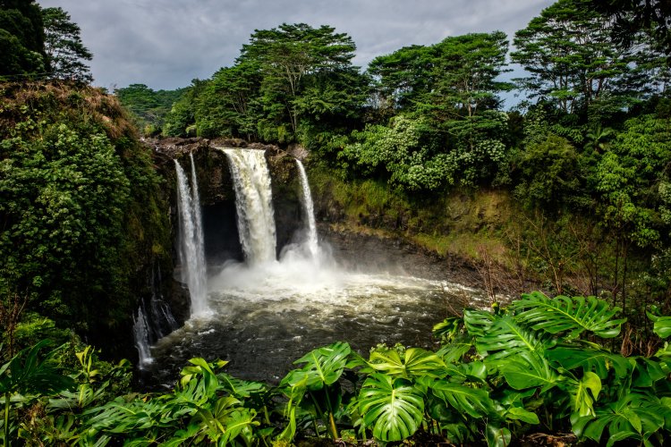Manta rays night snorkeling trip in big island. Road Trip From Kona To Hilo And 3 Awesome Places To Explore On The East Side Of The Big Island The Greatest American Road Trip