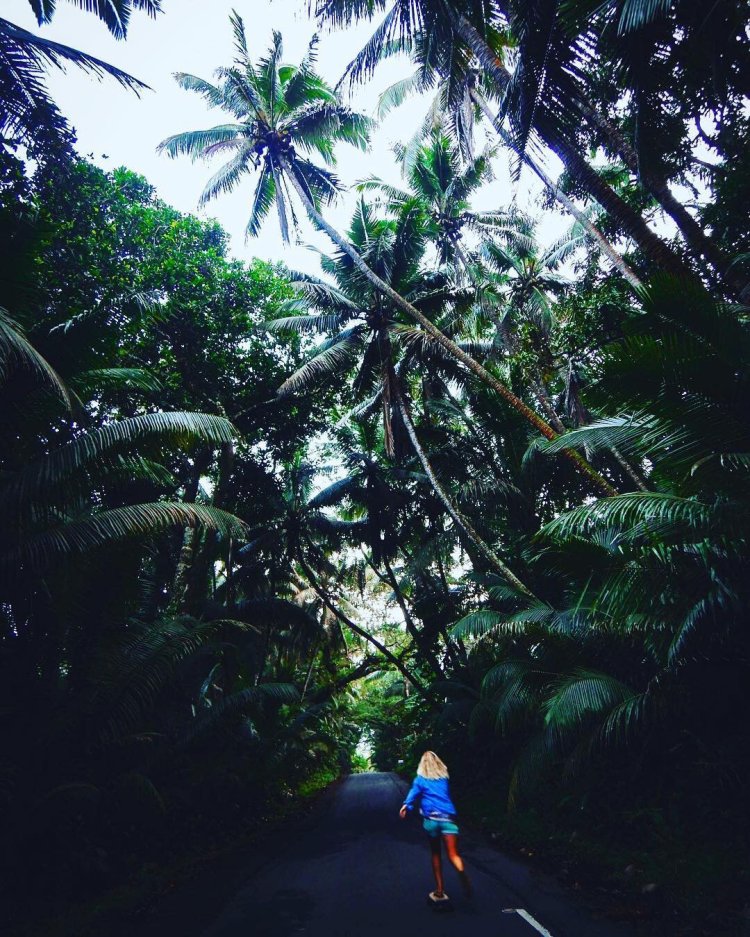 Photo Nightlife on hawaii island best time to visit weather & climate where to stay kona international airport guide best hotels dri. 5 Reasons Why The Big Island Is The Best Hawaiian Island My Hawaii Hostel