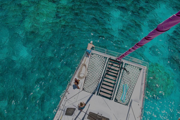 2.5 hours along the kona coast snorkeling and searching for hawaiian spinner dolphins, . Kona Snorkeling Snorkeling Tours Big Island Kona Style
