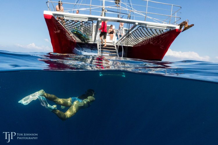 Explore sea caves & lava tubes; Kona Snorkeling Snorkeling Tours Big Island Kona Style