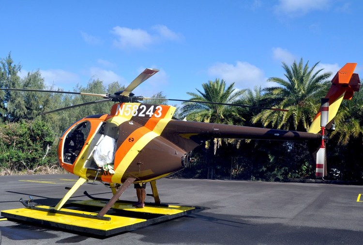 Get ideas for managing mosquitoes at hgtv.com. Magnum P I Set Decorator Island Hoppers Lives Again As Paradise Helicopters