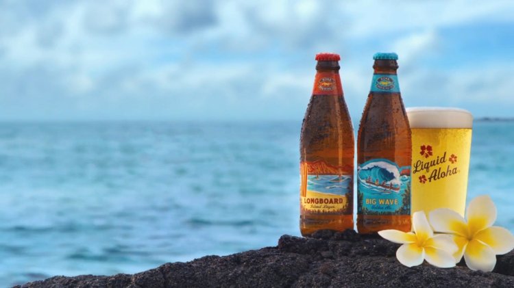 Photo Organized tours in hawaii (the big island). Hawaii Sail Charters Kona Sailing Tours Sunset Sail Snorkeling Adventures Activities Kona Sailing Tours Hawaii Sail Charters