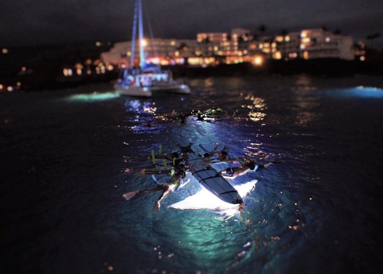 JPG Les hyundai kona d'occasion à vendre autour de tours. Boat Tours Kona Kona Snorkeling Sailing Kona Style