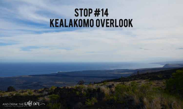 The novel coronavirus has completely reshaped daily life for people around the world. And Drink The Wild Air Hawaii Volcanoes National Park Driving Tour Kealakomo Overlook