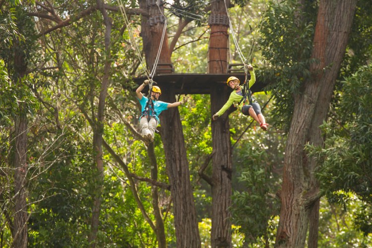 Hawaii may be a state, but it’s one of the most isolated from the rest of the country. Ziplines Big Island Activities Store