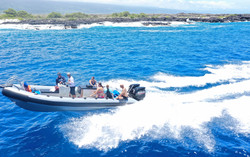 Kona snorkeling & adventure tours · manta discovery adventure · dolphin discovery adventure · premium kona snorkel adventure · captain cook's afternoon snorkel . The Best Kona Snorkel Tours Kona Boat Tours