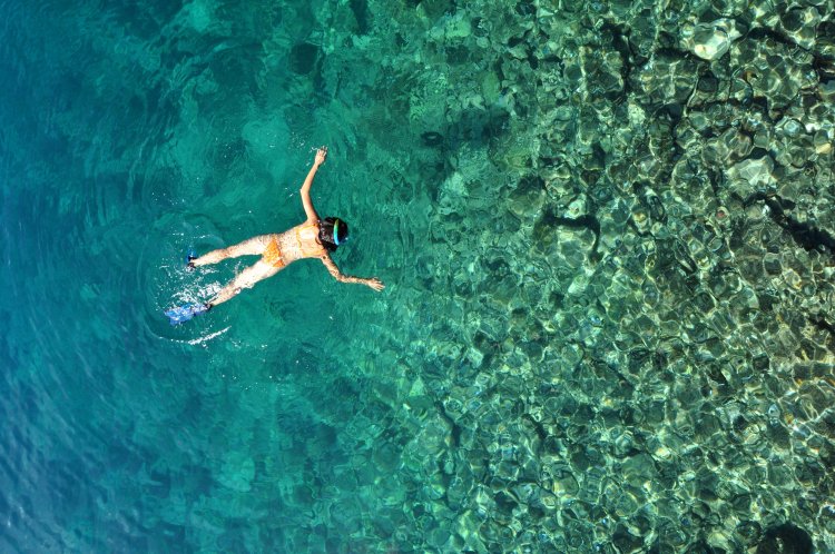 Single kayaks starting at $40, tandem kayaks . Kayak Sup Rental In Kealakekua Bay