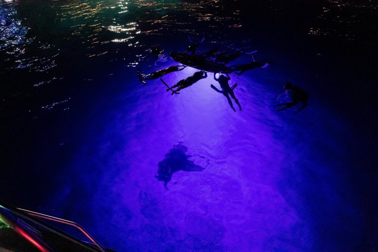 Casually cruise the kona coastline and snorkel with tropical marine life, as you splash in the waters of kealakekua bay on this deluxe kona snorkeling cruise. Snorkel Tours And Private Charters In Kona Hawaii Hawaiian Adventures