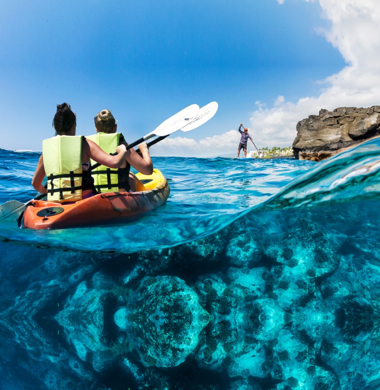 We offer an unguided permitted kayak rentals in kealakekua bay that's a great activity for the whole family. Keauhou Bay Adventures