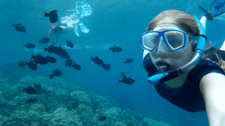 Hapuna beach state park , in particular, is a white sand beach and an excellent place for swimming, snorkeling, surfing, and bodyboarding. 3 Of The Best Places For Snorkeling On The Big Island Of Hawaii By Deep Marine Scenes Medium