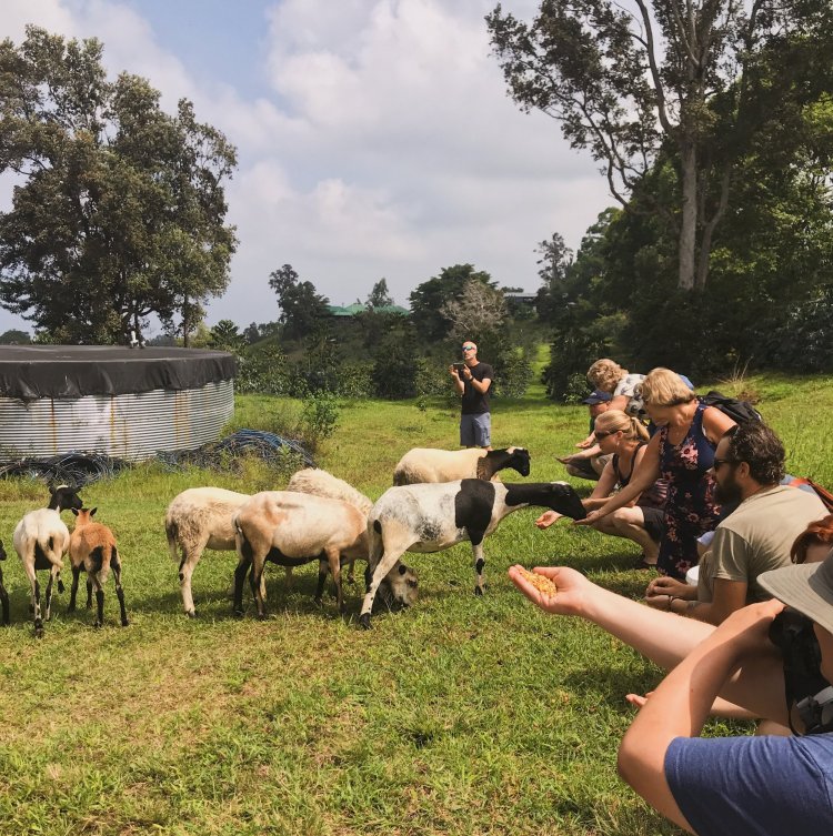 Ucc roastmaster tour try roasting your own 100% kona coffee and take home . Tours Tastings Sunshower Farms Kona Coffee Farm And Event Venue