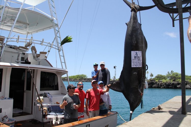 Kona, hi united states + google map . Grander Marlin Magic