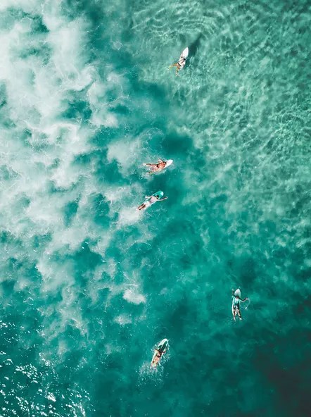 Image 5.0 star rating · sea quest hawaii. Private Charter Aloha Kona Tours Kailua Kona