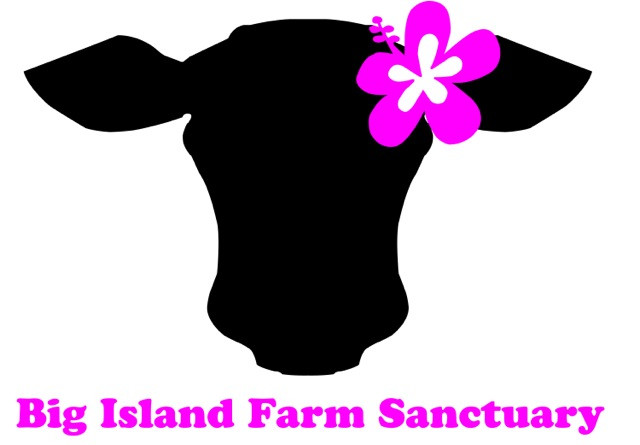 Long island christmas tree farms. Big Island Farm Sanctuary Big Island Hawaii Animal Sanctuary