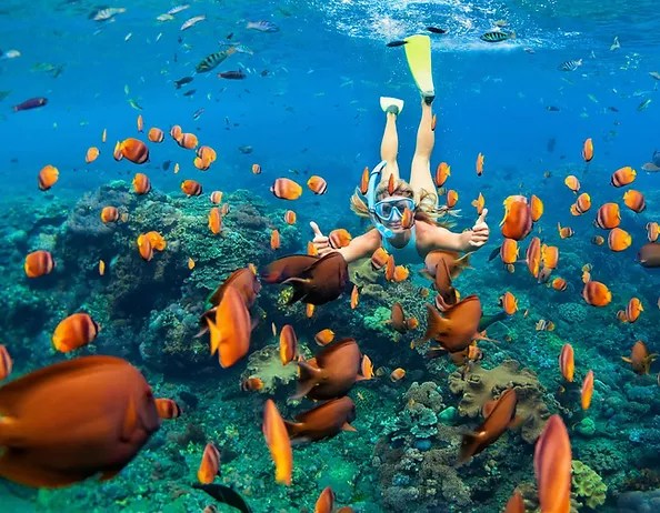 He took time to answer all the questions from all the . The Best Kona Snorkel Tours Kona Boat Tours