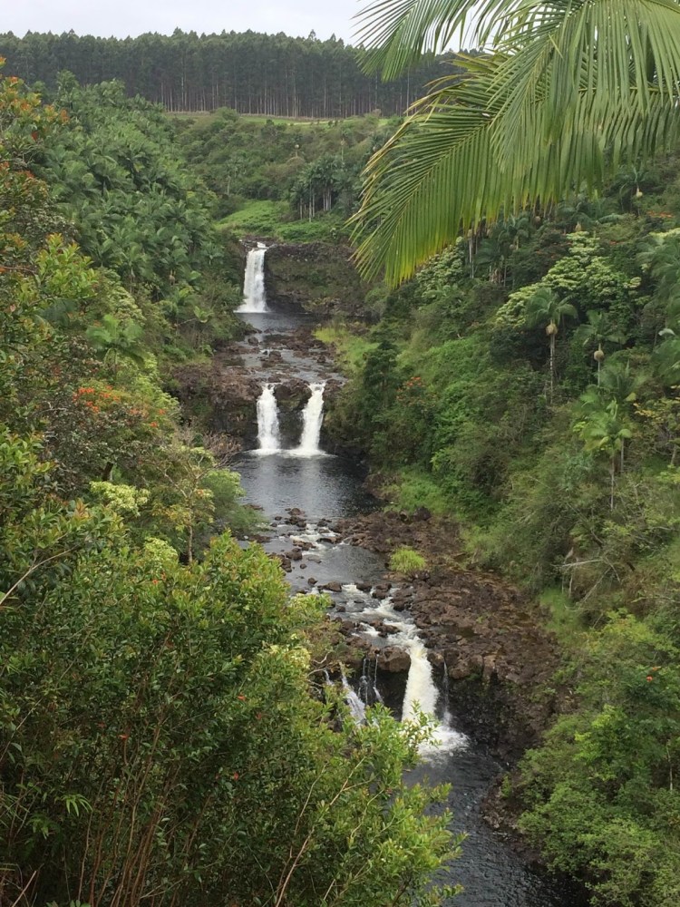 For that reason, people may not get to visit, and many more don’t know too much about it beyond the fact that it’s a gorgeous paradise and beautiful plac. Family Travel Blog Umauma Falls Best Zip Lining Experience On The Big Island Of Hawaii