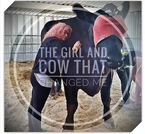 Here are a few tips that’ll get you started on your search for your first goats. Big Island Farm Sanctuary Big Island Hawaii Animal Sanctuary