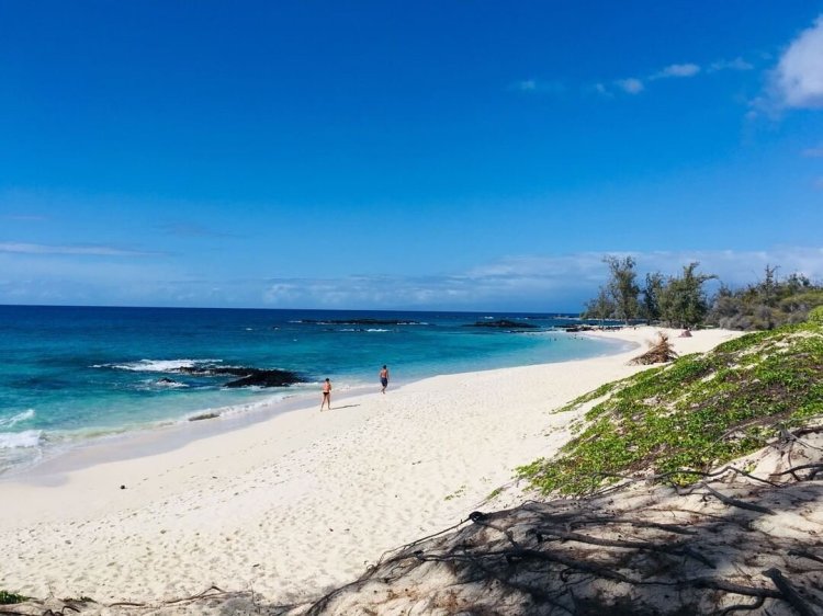 Customers travelling to the u.s. Travel To Hawaii During Covid Updated Sept 13 2021 My Hawaii Hostel