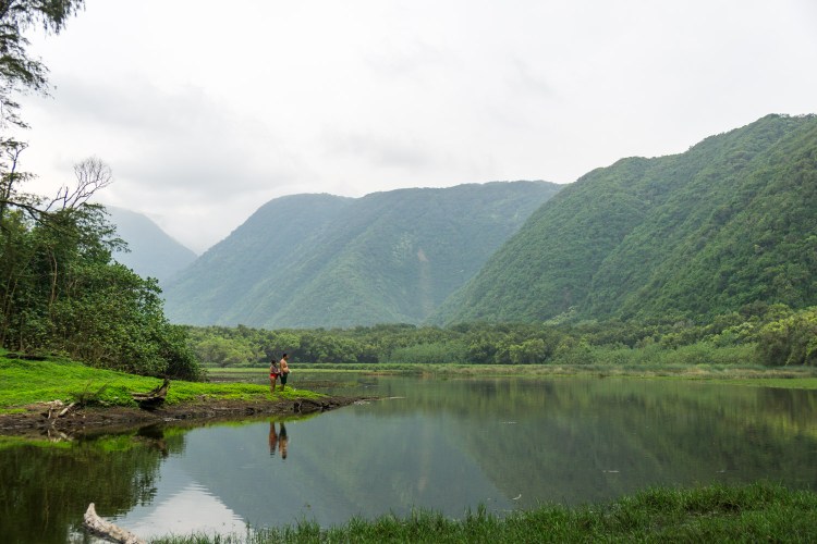 Hawaii island has no shortage of waterfalls, rainforests and valleys to explore. Hike Pololu Valley Big Island Hawaii Backcountrycow Backpacking And Outdoor Travel
