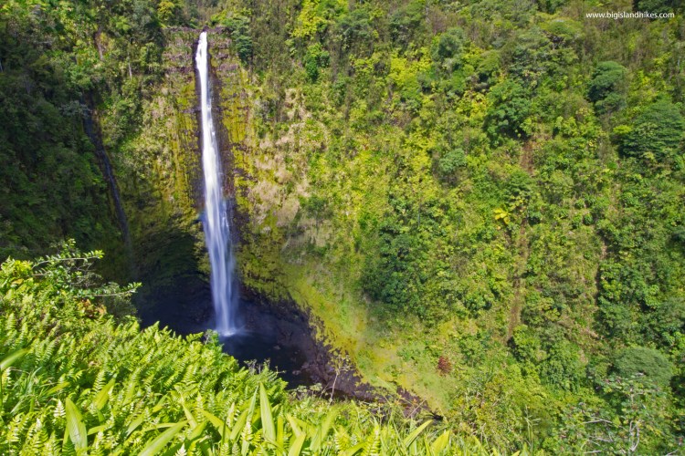The service will link oahu with maui and kauai. Akaka Falls State Park Big Island Hikes