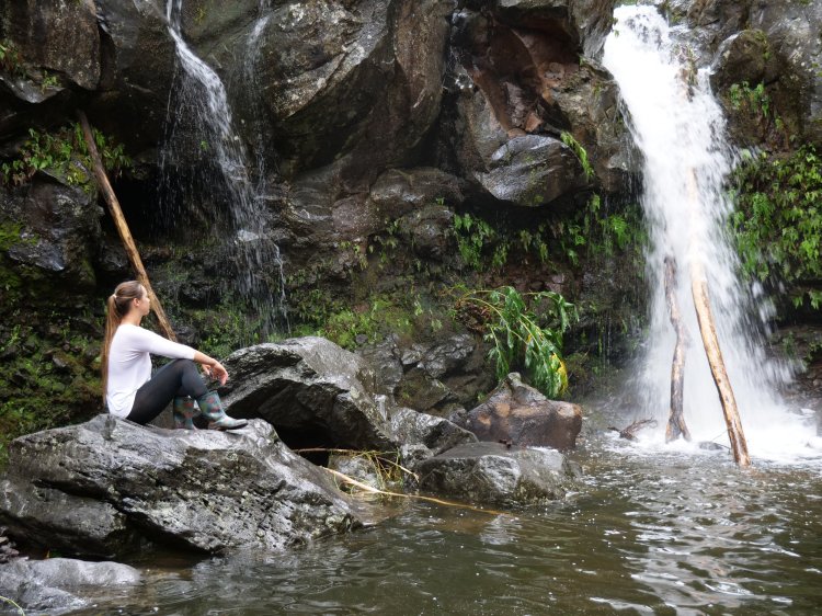 If getting away sans family is out of the question, bring them along, but negotiate a few hours of so. Sanctuary Ahu Lani Big Island Hawaii Yoga Retreat Center Ahu Lani Sanctuary