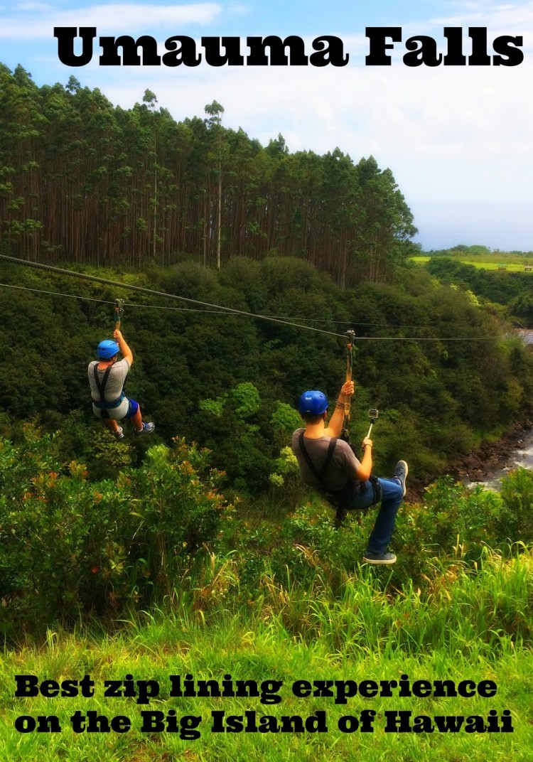 Hawaii remains safe for travelers with safety precautions. Family Travel Blog Umauma Falls Best Zip Lining Experience On The Big Island Of Hawaii