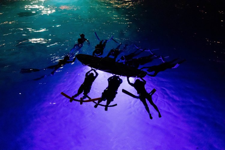 Join us for a snorkel adventure you will never forget! Snorkel Tours And Private Charters In Kona Hawaii Hawaiian Adventures