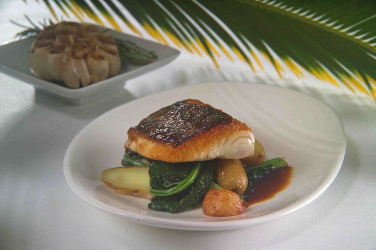 Rockcreek seafood & spirits is a full service restaurant and bar located in the fremont neighborhood of seattle, wa. Our Fish Ocean Era