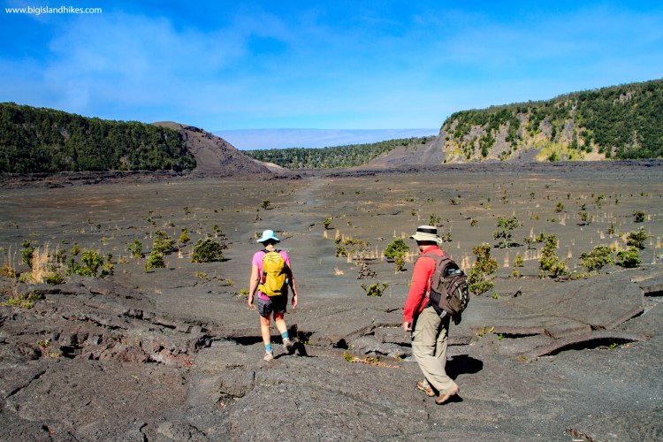 You also have the chance to combine two of the most popular activities on the island on the fire and water combo tour, which includes both seeing the volcanoes and snorkeling with wild dolphins. Kilauea Iki Big Island Hikes