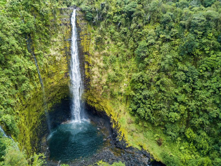 Guided big island waterfalls tours. Hilo S Rivers And Waterfalls My Hawaii Hostel