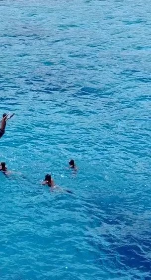 We're your number one choice for hawaii boat tours. Our Trip Aloha Kona Tours Kailua Kona
