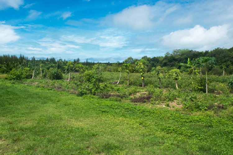 These tips will help you find motorhomes for sale, so y. Permaculture Research Team Farm To Table Center For Sustainable Development