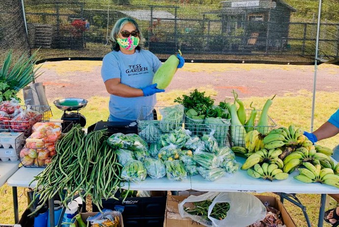 Cruise coastline, admire marine life, such as fish, dolphins, whales (seasonal), or other ocean creatures we might see on the tour. Farmers Market Hawaii Big Island Archives